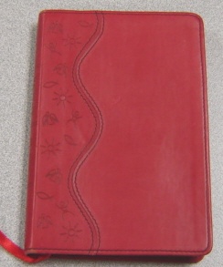 Image for NIrV Backpack Bible, New Testament with Psalms& Proverbs